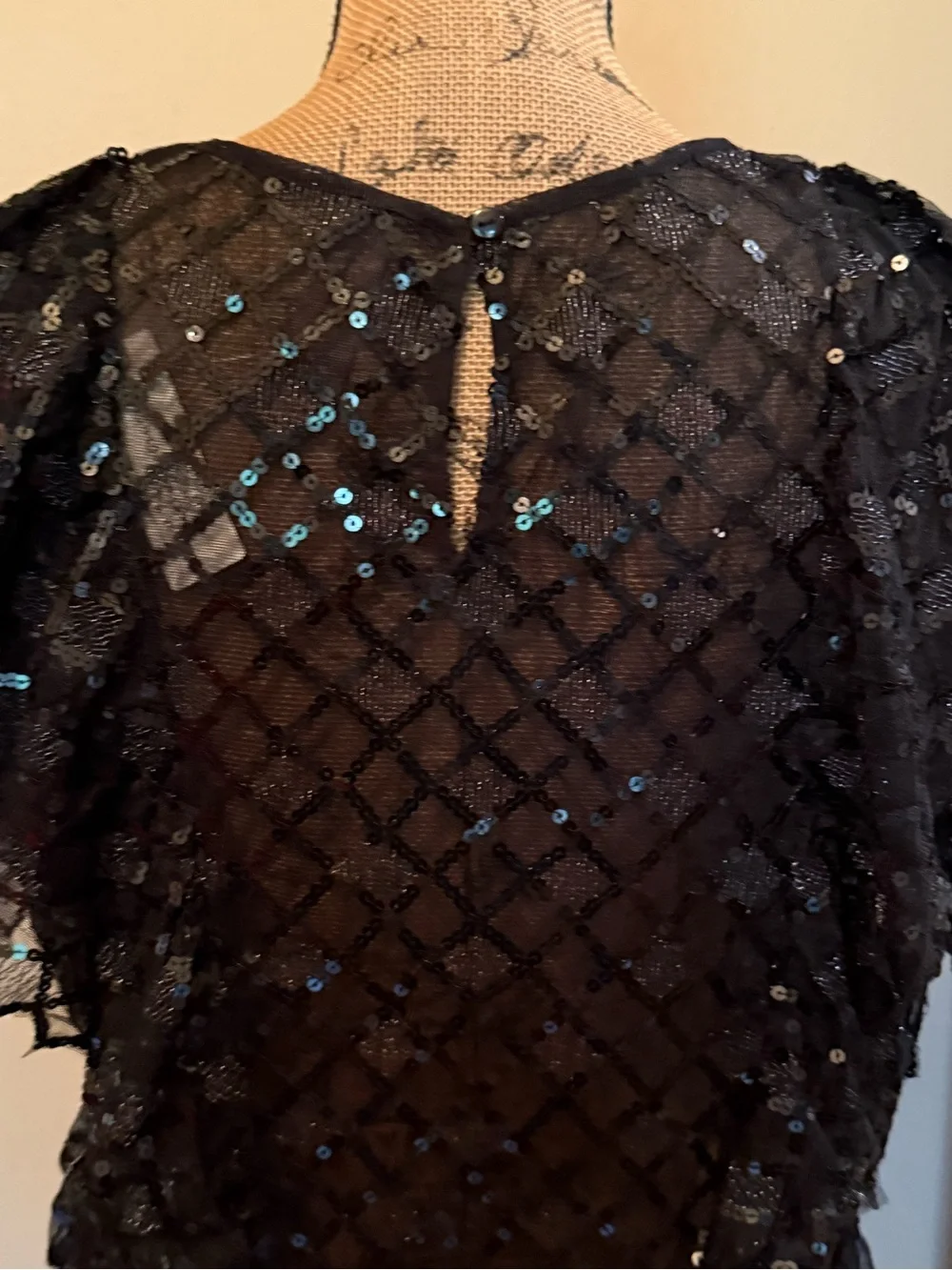Anthropologie semi-sheer sequin blouse-New with tag! - Picture 7 of 10